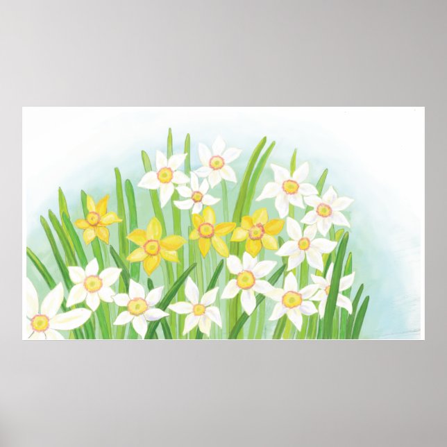 Spring Daffodils Poster (Front)