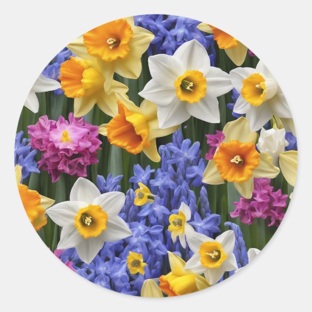 Spring Daffodils Pretty Floral Classic Round Sticker (Front)