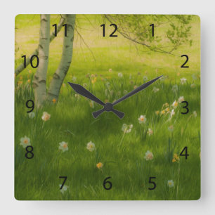 Spring Daffodils Square Wall Clock