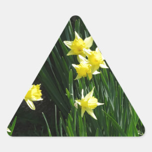 Spring Daffodils Triangle Sticker