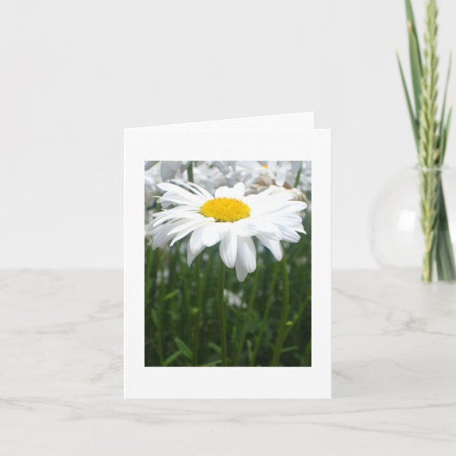 Spring Daisy Card (Front)