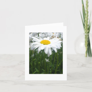 Spring Daisy Card