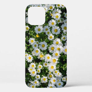 Spring Daisy Field: Serene Background iPhone 12 Case