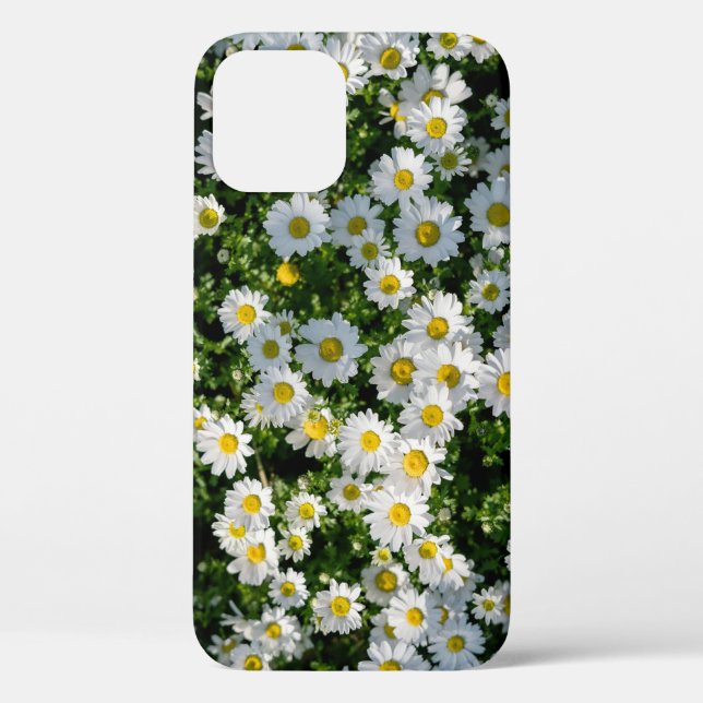 Spring Daisy Field: Serene Background Case-Mate iPhone Case (Back)