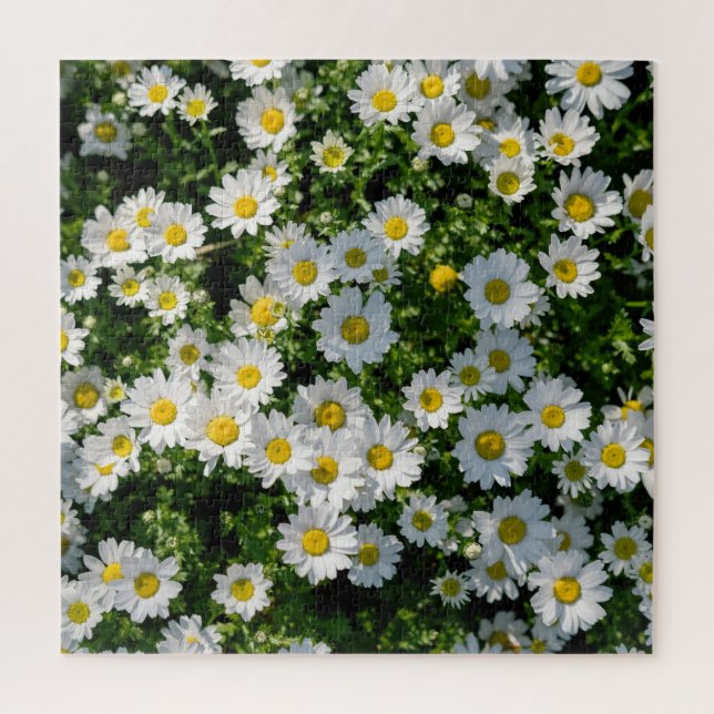 Spring Daisy Field: Serene Background Jigsaw Puzzle (Vertical)