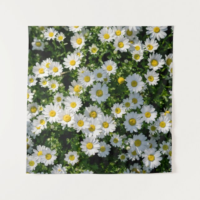Spring Daisy Field: Serene Background Tapestry (Front)