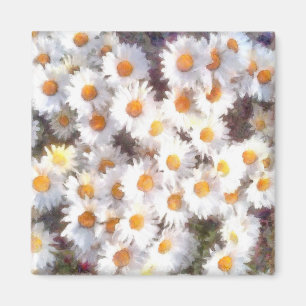 Spring Daisy Wildflower Watercolor Magnet
