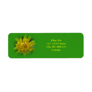 Spring dandelion flower, green labels