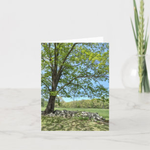 Spring Day in Monson Note Card