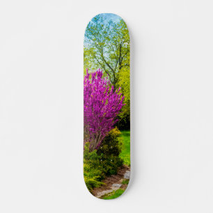 Spring Day Painterly Skateboard
