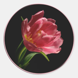 Spring Double Bloom Tulip Envelope Seal Sticker