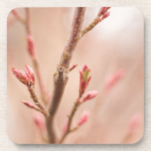 Spring dreams cork coasters