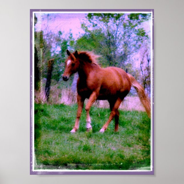 Spring Dreams, Sorrel Trotting Poster (Front)