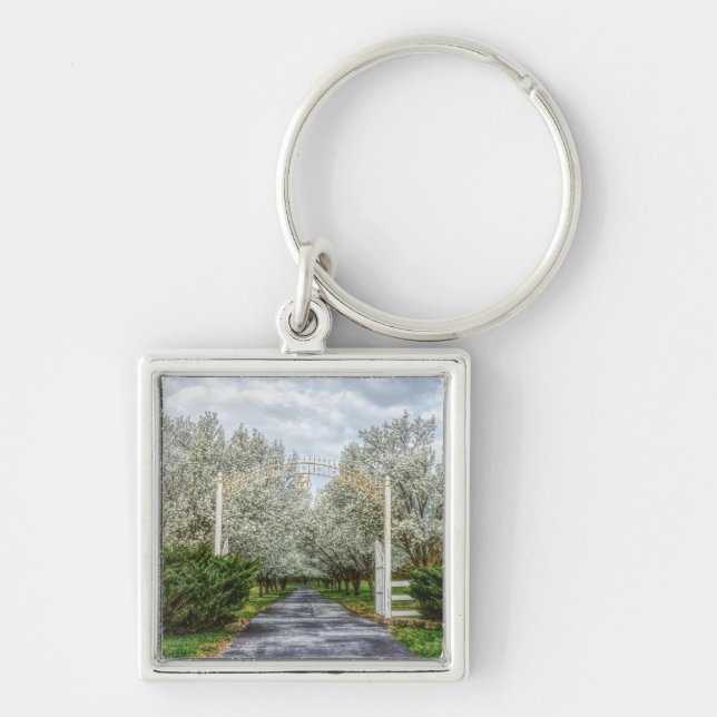 Spring Drive Home Key Ring (Front)
