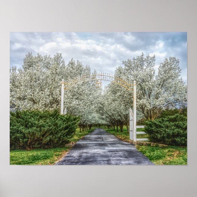 Spring Drive Home Poster (Front)