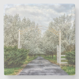 Spring Drive Home Stone Coaster