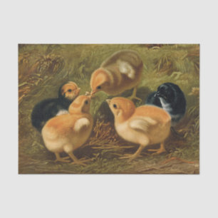 Spring Easter Chicks Decoupage Decoupaging Rustic Tissue Paper