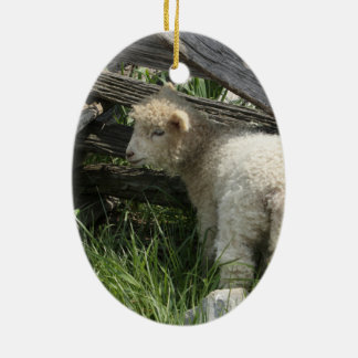 Spring/Easter: Two lambs same grass, One by fence Ceramic Ornament