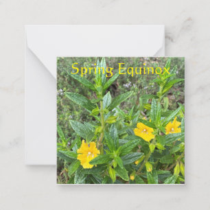 Spring Equinox Monkeyflowers Card