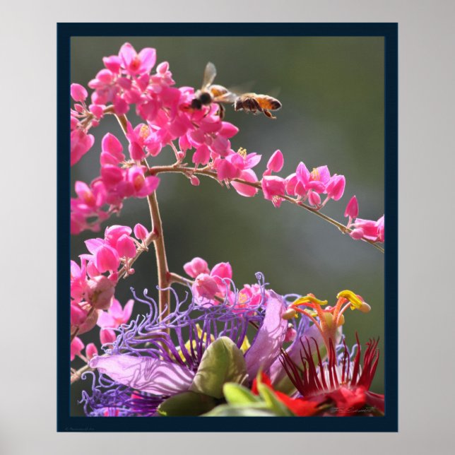 Spring Essence Print -20x24 -other sizes also (Front)