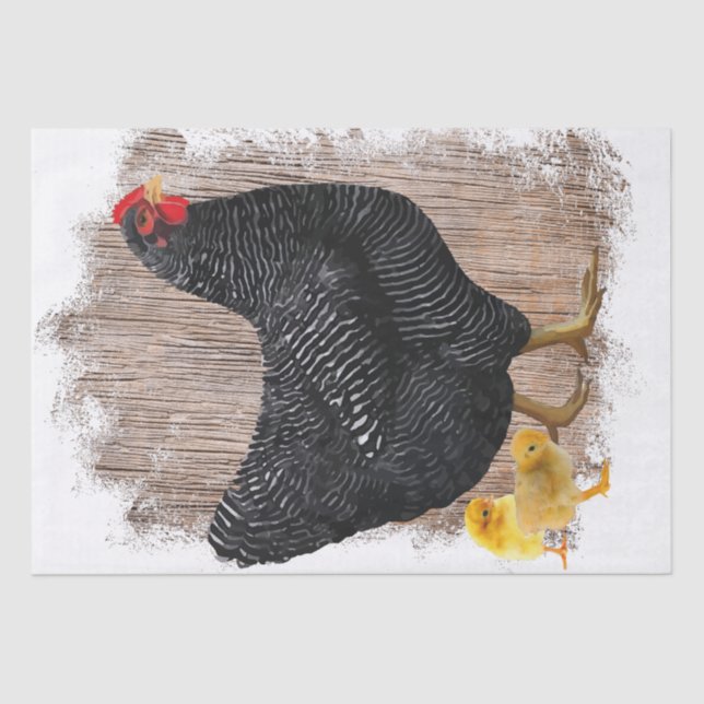Spring Farm Hen Chickens Watercolor Tissue Paper (Front)