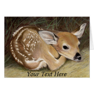 Spring Fawn