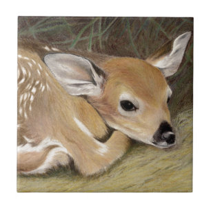 Spring Fawn Ceramic Tile