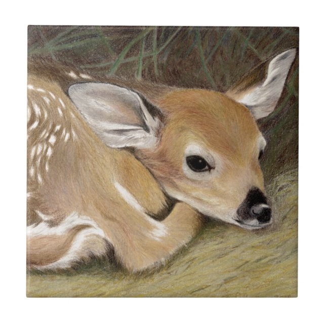 Spring Fawn Ceramic Tile (Front)