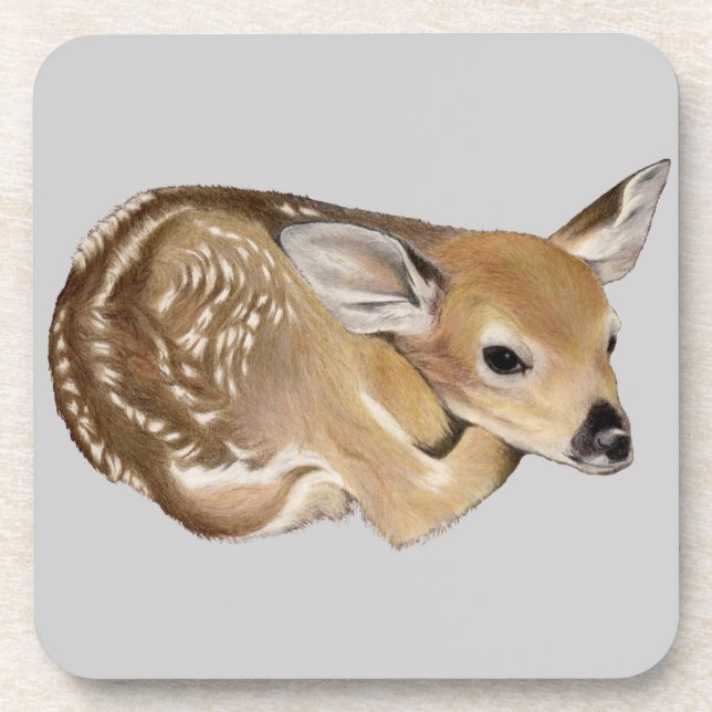 Spring Fawn Coaster (Front)