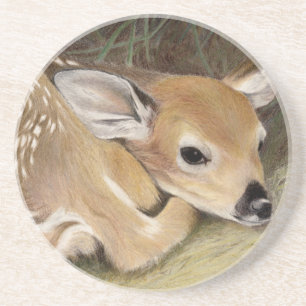 Spring Fawn Coaster