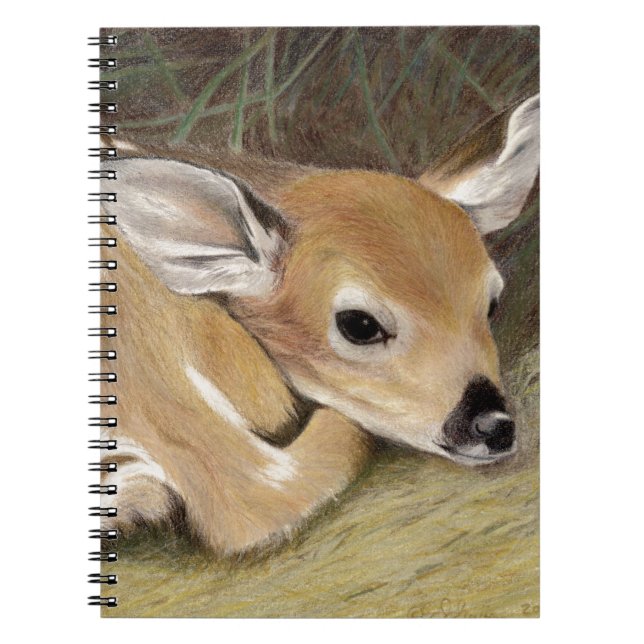Spring Fawn Notebook (Front)