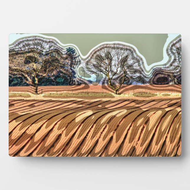 SPRING FIELDS PLAQUE (Front)