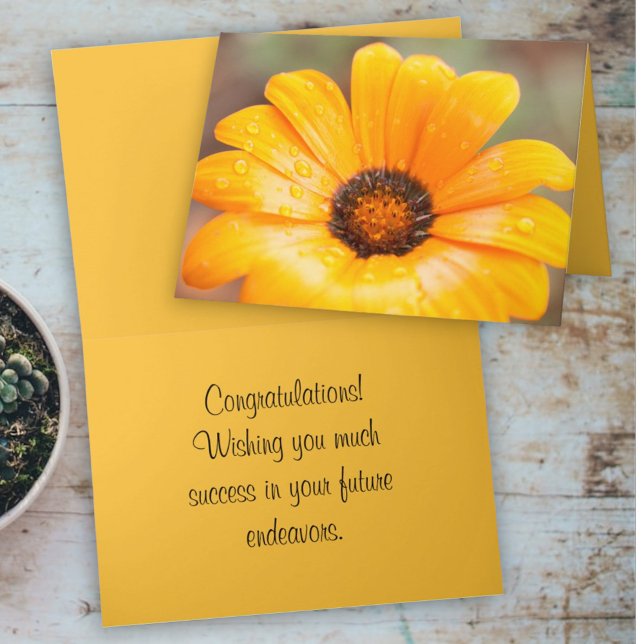 Spring Flash African Daisy Close-Up Photo Template (cover and inside template text greeting card)