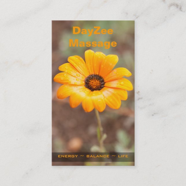 Spring Flash African Daisy Photo Appointment Card (Front)