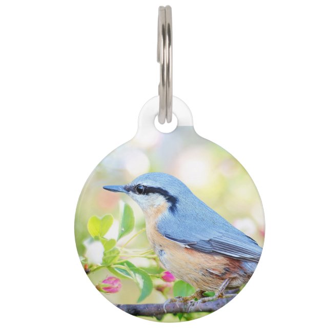 spring fling bluebird customisation dog tag (Front)