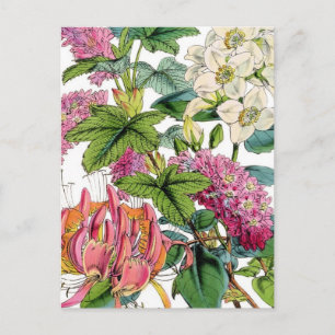 Spring Florals Postcard