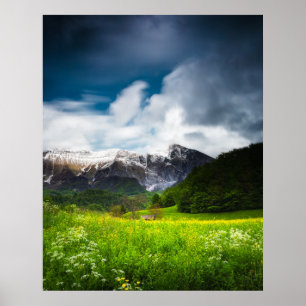 Spring flower field under mountain Krn Poster