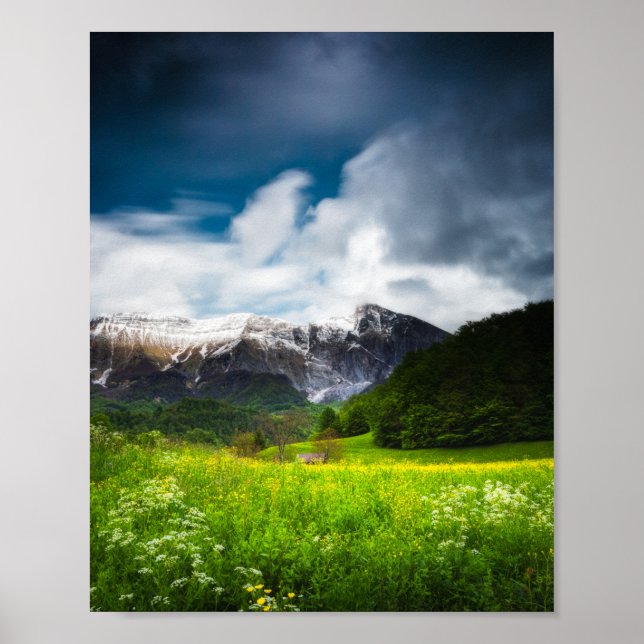 Spring flower field under mountain Krn Poster (Front)