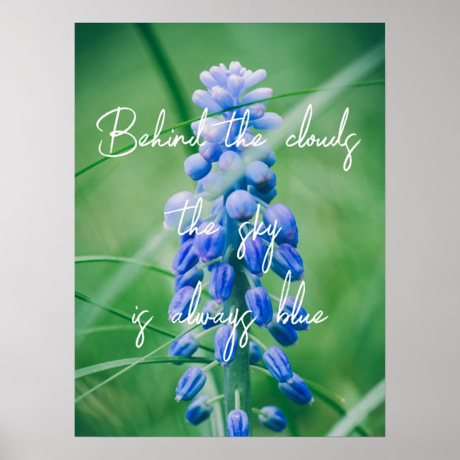 Spring Flower (Grape Hyacinth) Poster (Front)