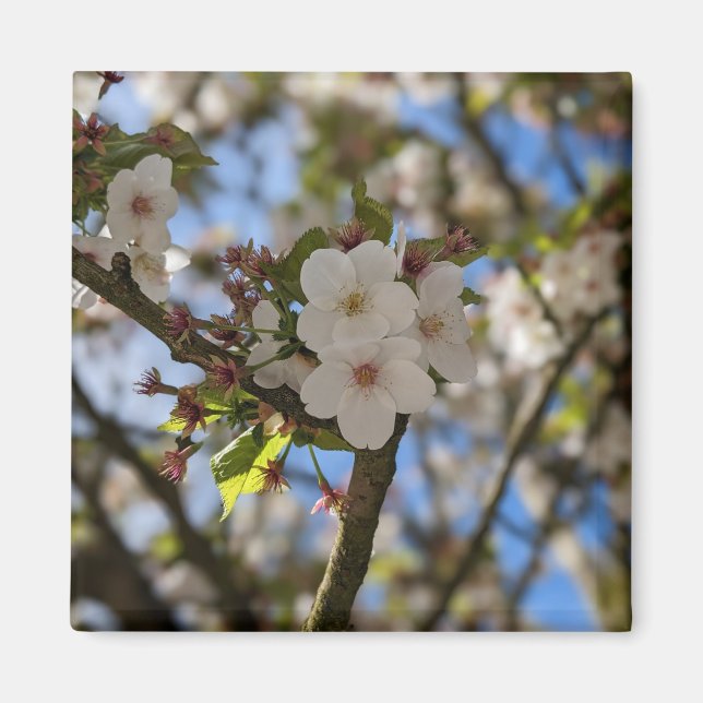 Spring Flower  Magnet (Front)