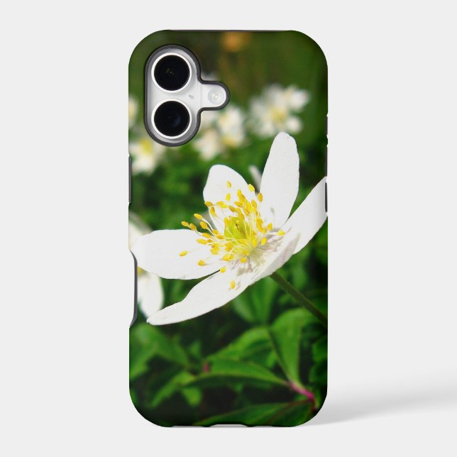 spring flowers (Back)