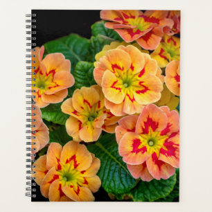 Spring Flowers 2024 Planner