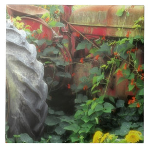 Spring flowers adorn an old tractor. tile