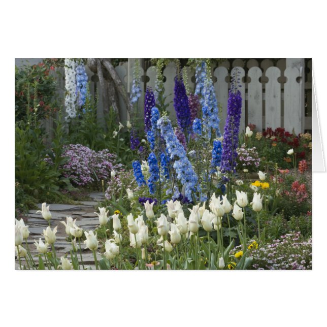 Spring flowers along a garden path, Georgia (Front Horizontal)