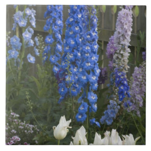 Spring flowers along a garden path, Georgia 2 Ceramic Tile