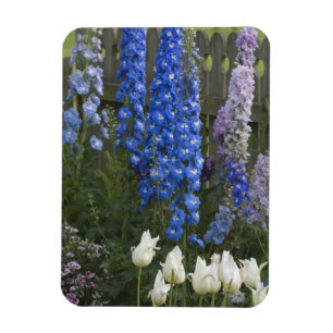Spring flowers along a garden path, Georgia 2 Magnet