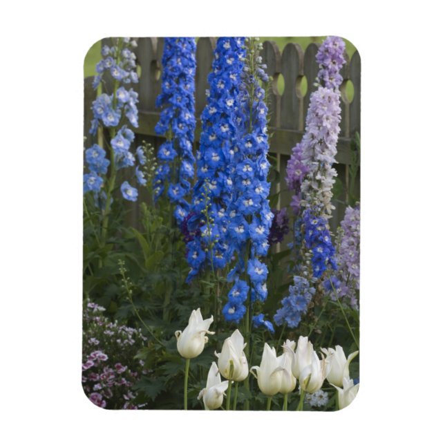 Spring flowers along a garden path, Georgia 2 Magnet (Vertical)
