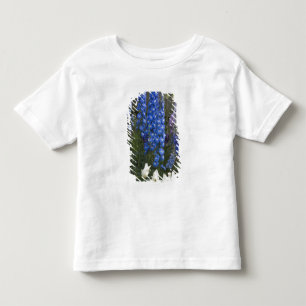 Spring flowers along a garden path, Georgia 2 Toddler T-Shirt