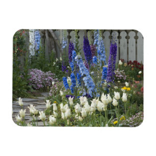 Spring flowers along a garden path, Georgia Magnet