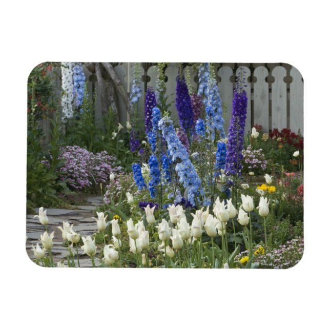 Spring flowers along a garden path, Georgia Magnet (Horizontal)